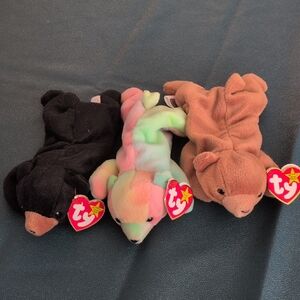 Ty Beanie Babies Bear Trio - Black, Tie Dye, Brown